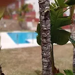 Sankai, Atico En Appartement