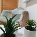 Sankai, Atico En